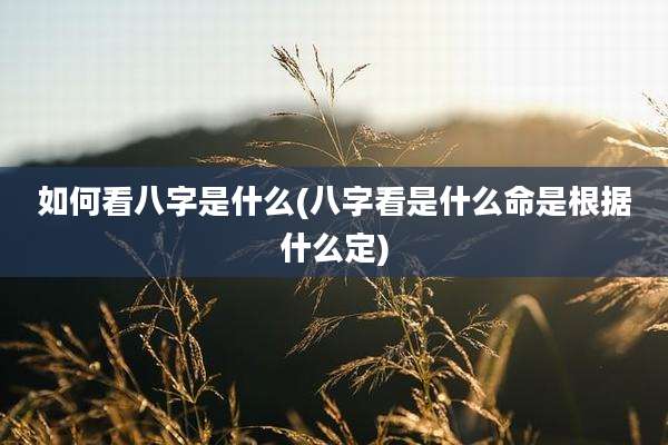 如何看八字是什么(八字看是什么命是根据什么定)