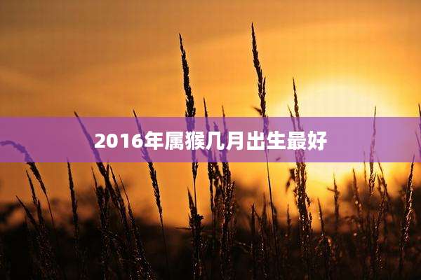 2016年属猴几月出生最好