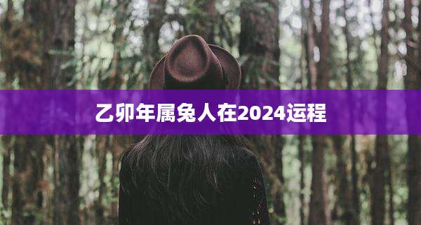 乙卯年属兔人在2024运程