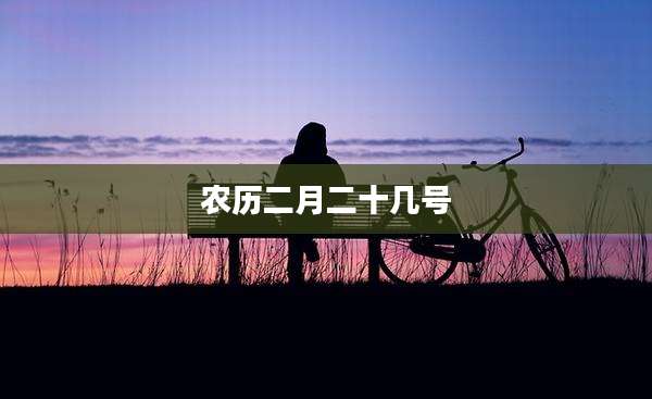 农历二月二十几号