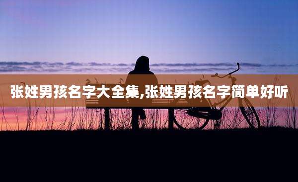 张姓男孩名字大全集,张姓男孩名字简单好听