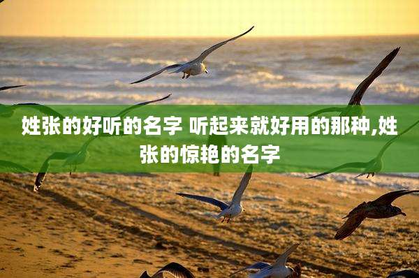 姓张的好听的名字 听起来就好用的那种,姓张的惊艳的名字