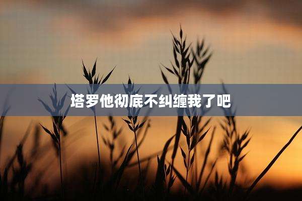 塔罗他彻底不纠缠我了吧
