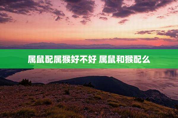 属鼠配属猴好不好 属鼠和猴配么