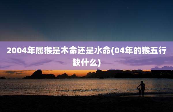 2004年属猴是木命还是水命(04年的猴五行缺什么)