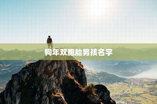 狗年双胞胎男孩名字