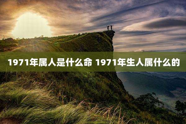 1971年属人是什么命 1971年生人属什么的
