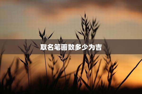 取名笔画数多少为吉