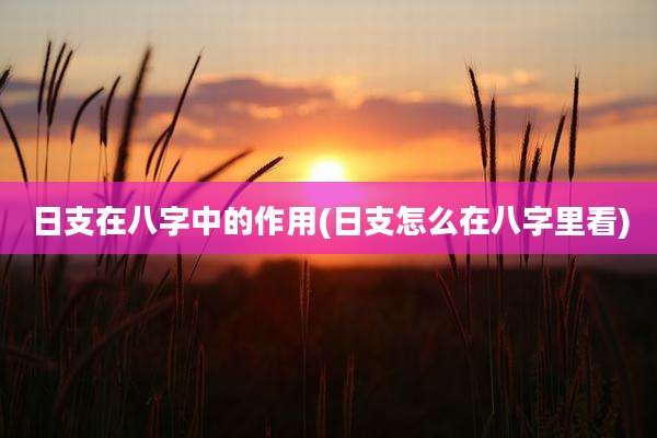 日支在八字中的作用(日支怎么在八字里看)