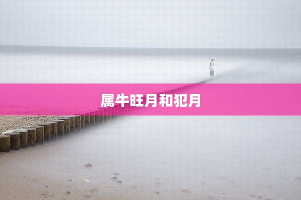 属牛旺月和犯月