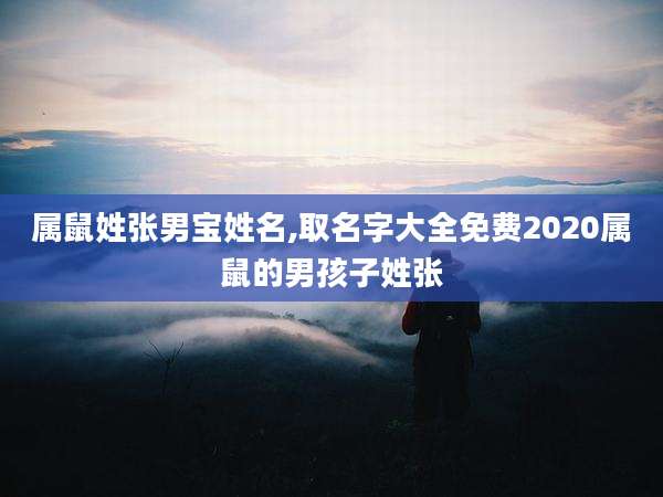 属鼠姓张男宝姓名,取名字大全免费2020属鼠的男孩子姓张