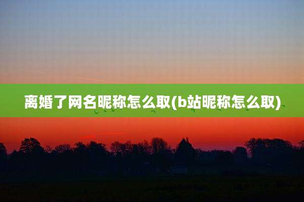 离婚了网名昵称怎么取(b站昵称怎么取)