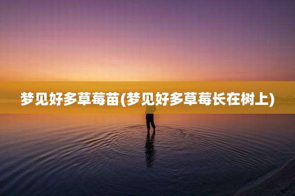 梦见好多草莓苗(梦见好多草莓长在树上)