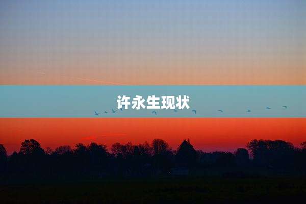 许永生现状