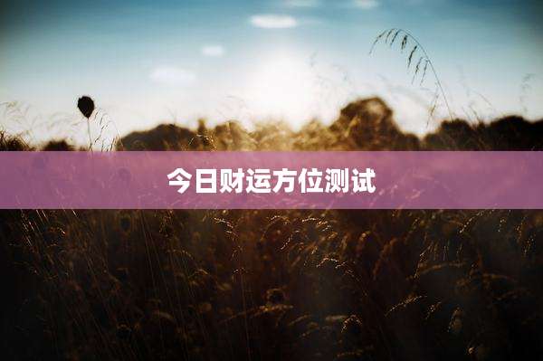 今日财运方位测试