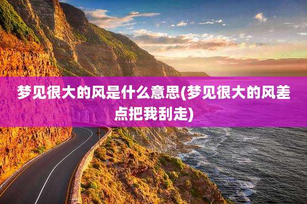梦见很大的风是什么意思(梦见很大的风差点把我刮走)