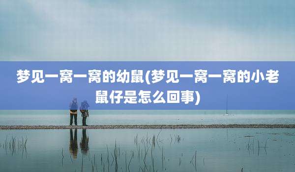 梦见一窝一窝的幼鼠(梦见一窝一窝的小老鼠仔是怎么回事)