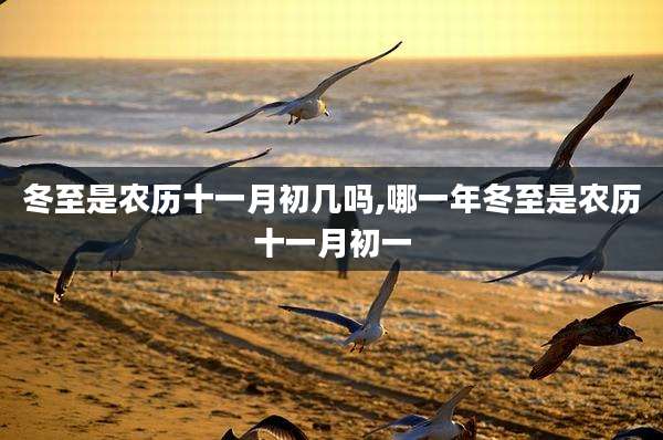 冬至是农历十一月初几吗,哪一年冬至是农历十一月初一