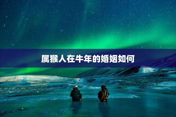 属猴人在牛年的婚姻如何