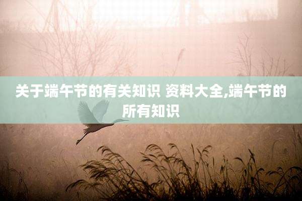 关于端午节的有关知识 资料大全,端午节的所有知识
