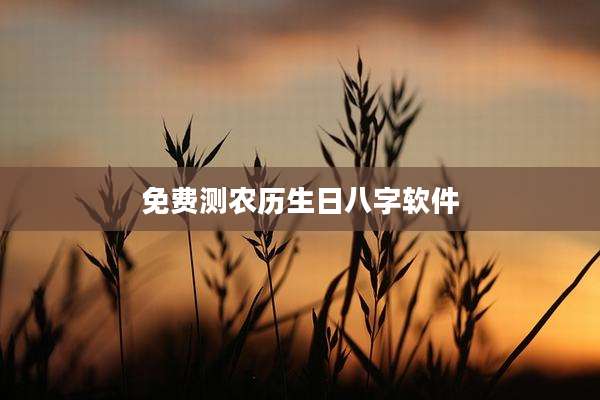 免费测农历生日八字软件