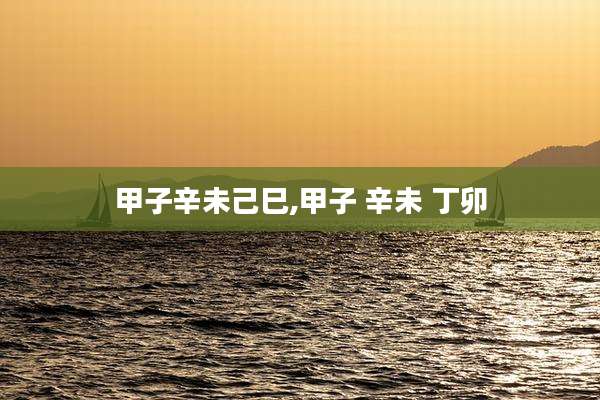 甲子辛未己巳,甲子 辛未 丁卯