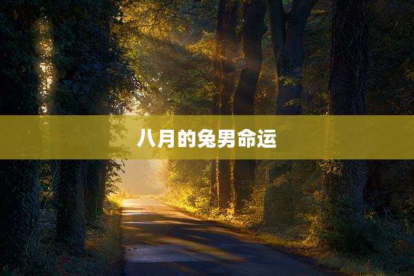 八月的兔男命运