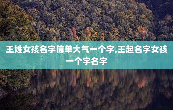 王姓女孩名字简单大气一个字,王起名字女孩一个字名字