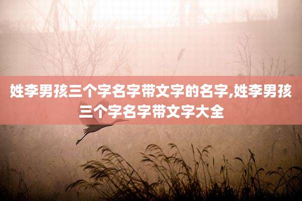 姓李男孩三个字名字带文字的名字,姓李男孩三个字名字带文字大全