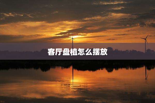 客厅盘植怎么摆放