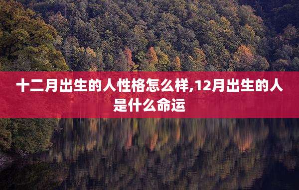 十二月出生的人性格怎么样,12月出生的人是什么命运