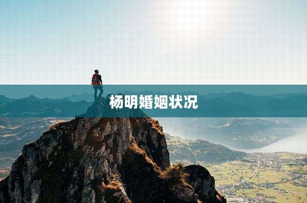 杨明婚姻状况