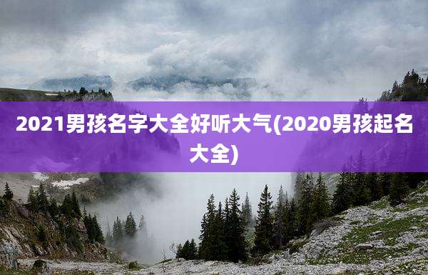 2021男孩名字大全好听大气(2020男孩起名大全)