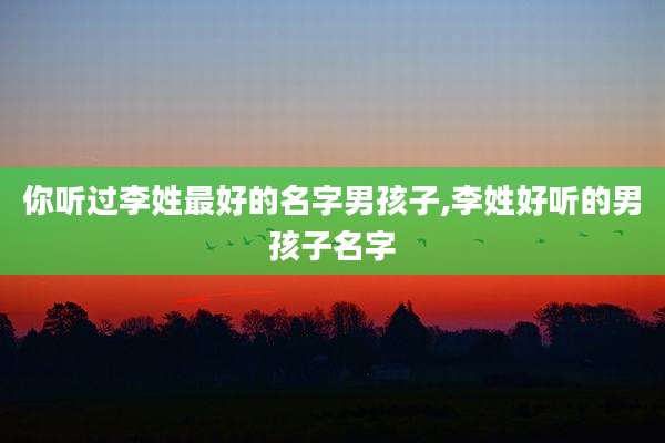 你听过李姓最好的名字男孩子,李姓好听的男孩子名字