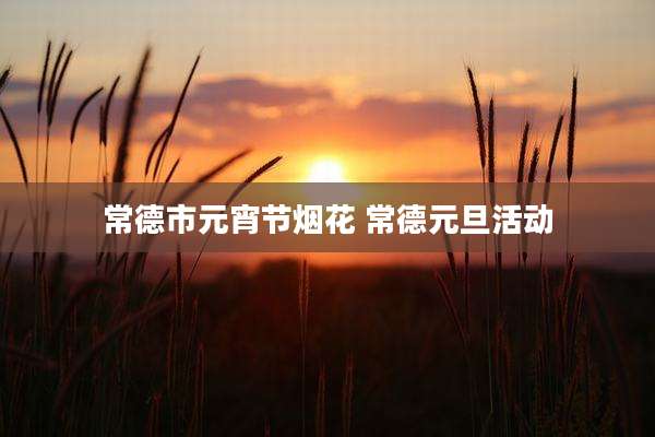常德市元宵节烟花 常德元旦活动