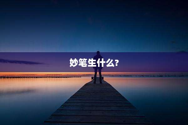 妙笔生什么?