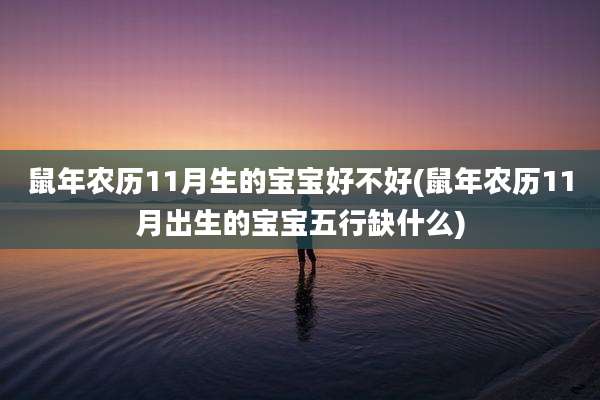 鼠年农历11月生的宝宝好不好(鼠年农历11月出生的宝宝五行缺什么)