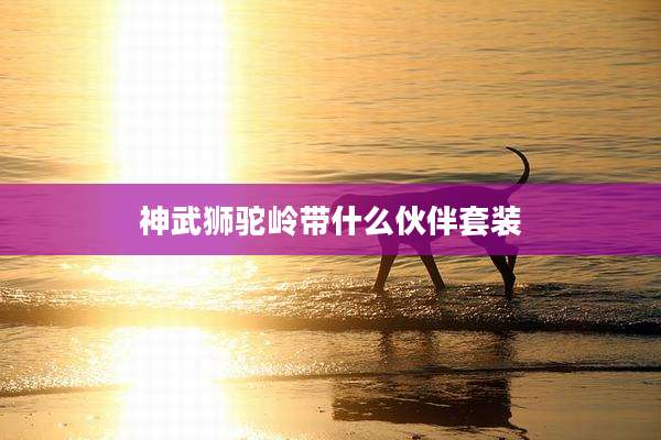 神武狮驼岭带什么伙伴套装