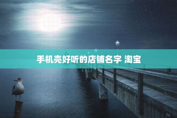 手机壳好听的店铺名字 淘宝