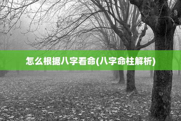 怎么根据八字看命(八字命柱解析)