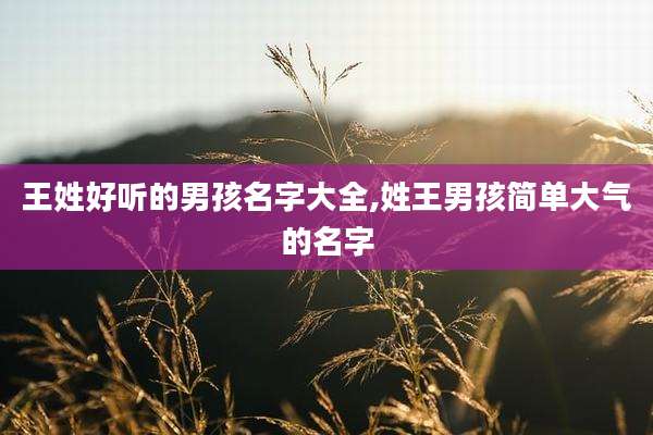 王姓好听的男孩名字大全,姓王男孩简单大气的名字