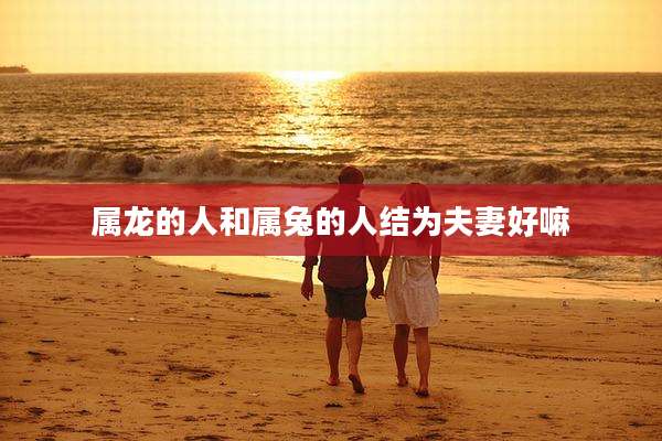属龙的人和属兔的人结为夫妻好嘛