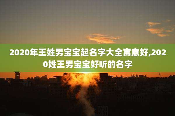 2020年王姓男宝宝起名字大全寓意好,2020姓王男宝宝好听的名字