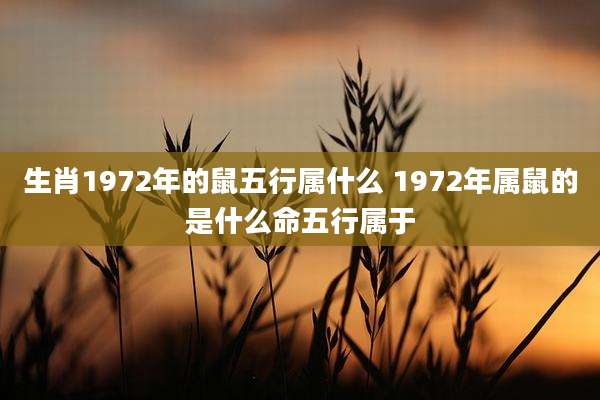 生肖1972年的鼠五行属什么 1972年属鼠的是什么命五行属于