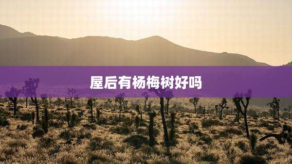 屋后有杨梅树好吗