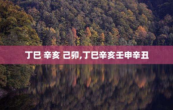 丁巳 辛亥 己卯,丁巳辛亥壬申辛丑
