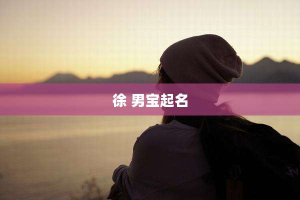 徐 男宝起名