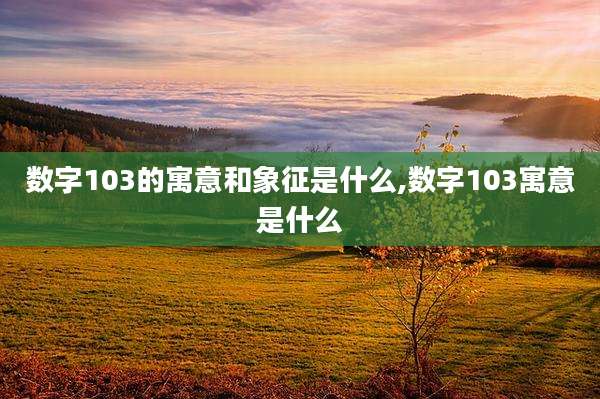 数字103的寓意和象征是什么,数字103寓意是什么