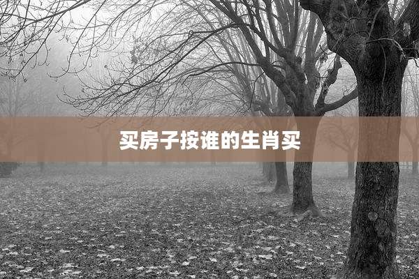 买房子按谁的生肖买