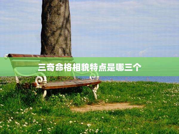 三奇命格相貌特点是哪三个